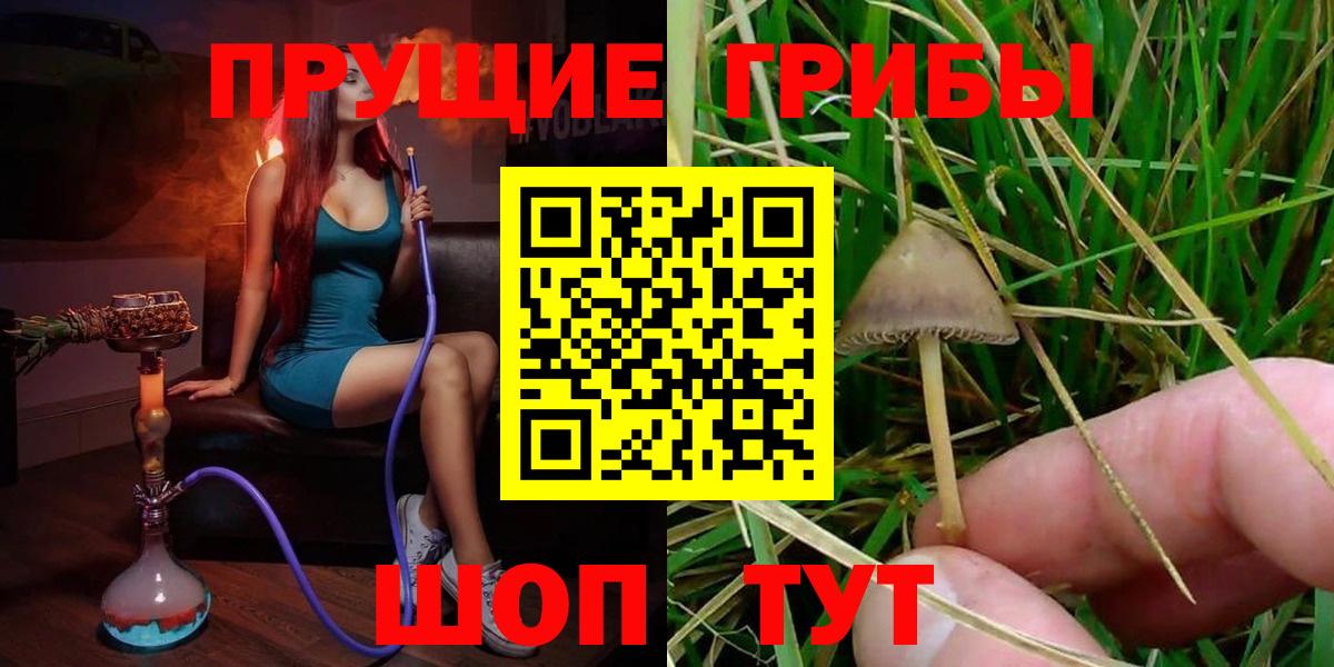 Псилоцибиновые грибы GOLDEN TEACHER Тула