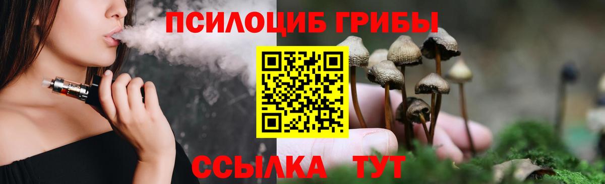 Тула  Псилоцибиновые грибы Psilocybine cubensis  Псилоцибиновые грибы Magic Shrooms  Вход с VPN 